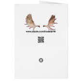 Woodland Caribou Cards (Back)