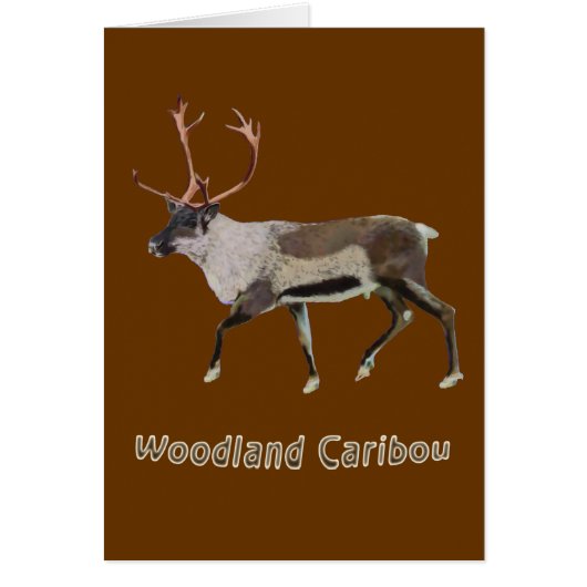 Woodland Caribou Cards (Front)