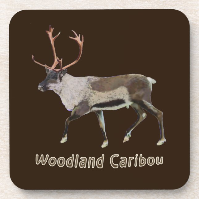 Woodland Caribou Drink Coaster (Front)