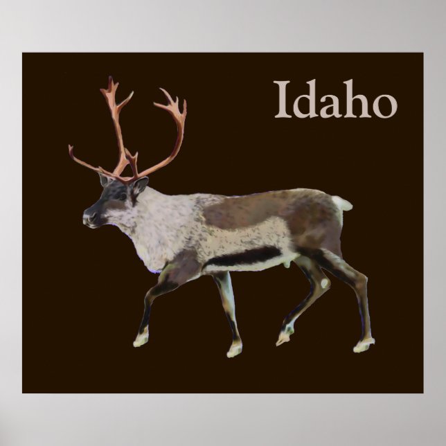 Woodland Caribou Poster (Front)