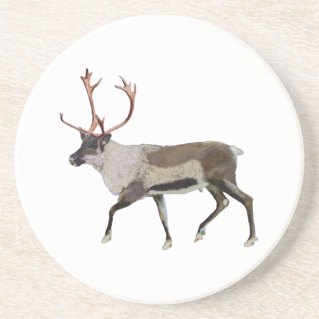 Woodland Caribou Sandstone Coaster (Front)