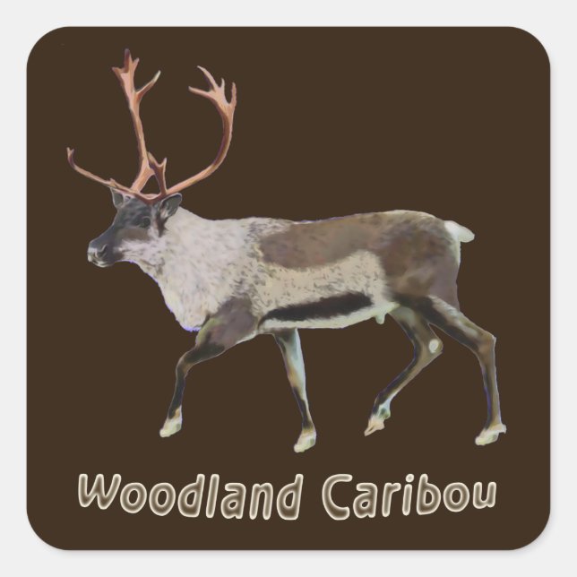 Woodland Caribou Square Sticker (Front)
