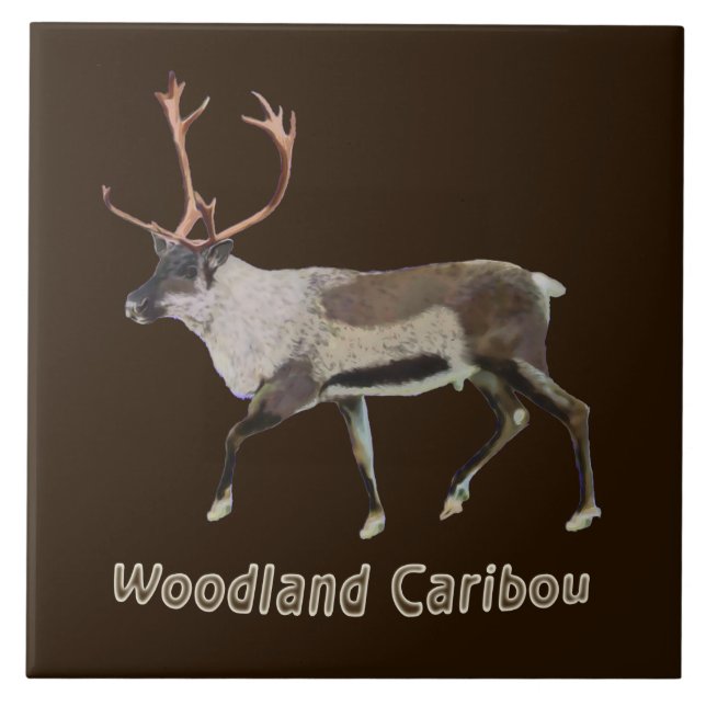Woodland Caribou Tile (Front)