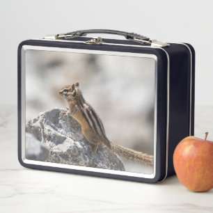 Woodland Chipmunk – Cute Wildlife Portrait Metal Lunch Box