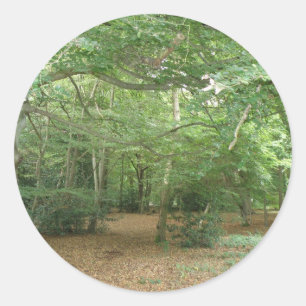 Woodland Clearing Stickers