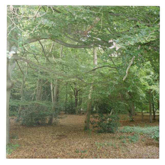 Woodland Clearing Tile (Front)