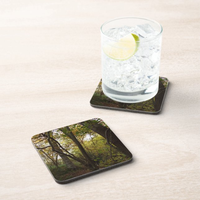 Woodland Coasters (Right Side)