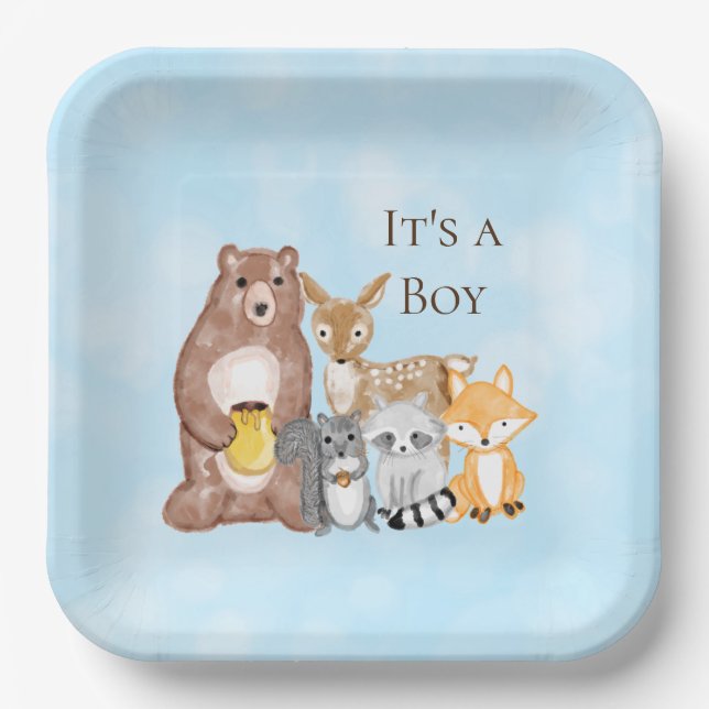 Woodland Creatures Baby Shower It's a Boy Paper Plates (Front)