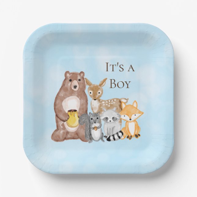 Woodland Creatures Baby Shower It's a Boy Paper Plates (Front)