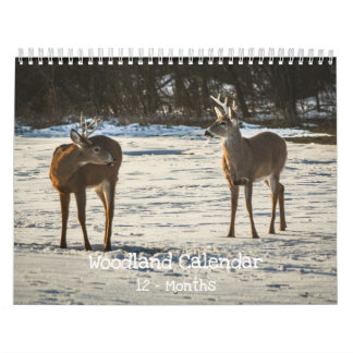 Woodland Creatures Nature  Calendar