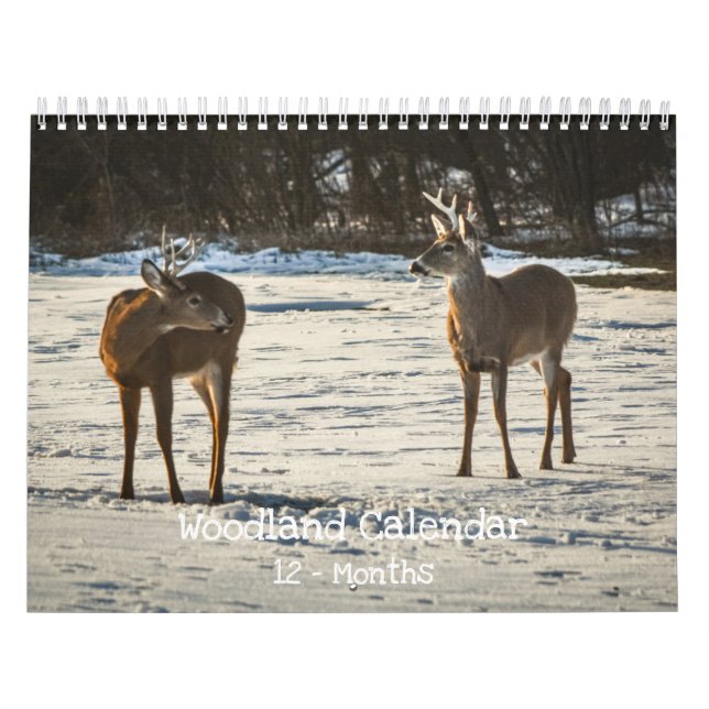 Woodland Creatures Nature  Calendar (Cover)