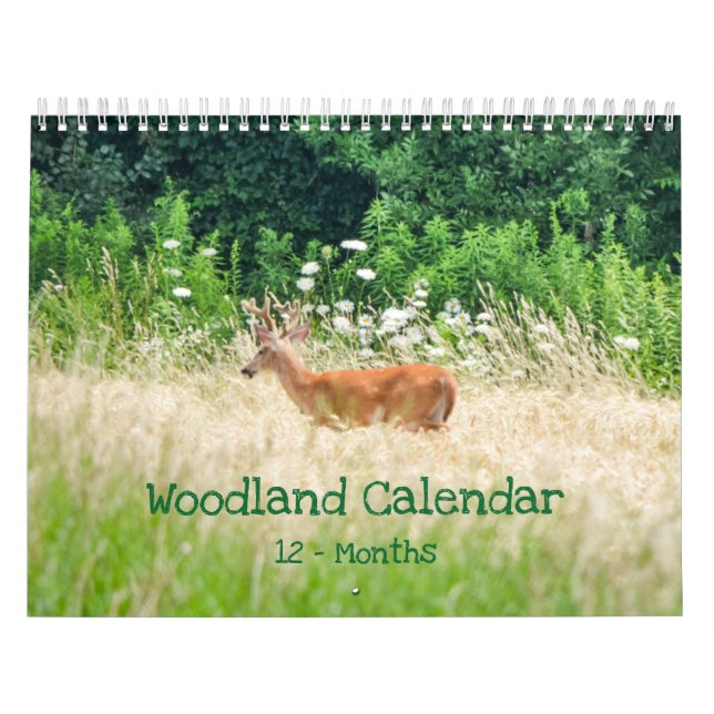 Woodland Creatures Nature Calendar (Cover)