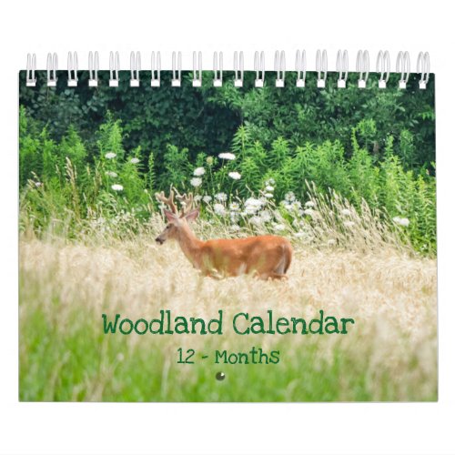 Woodland Creatures Nature Small Calendar