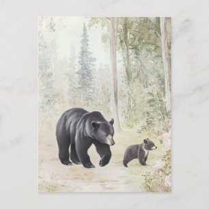 Woodland Creatures Postcard