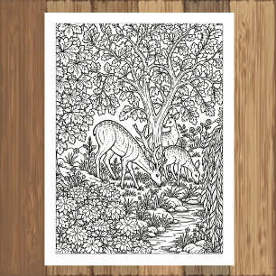 Woodland Deer Family by the Brook Coloring Poster
