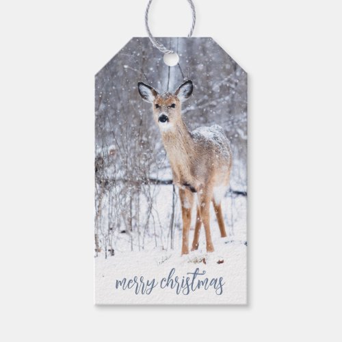 Woodland Deer In Winter Snow Christmas Gift Tags
