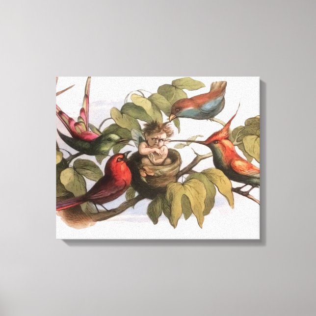 Woodland Elf in Nest: Antique Bird Sprite Fairy Canvas Print (Front)