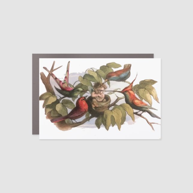 Woodland Elf in Nest: Antique Bird Sprite Fairy Car Magnet (Front)