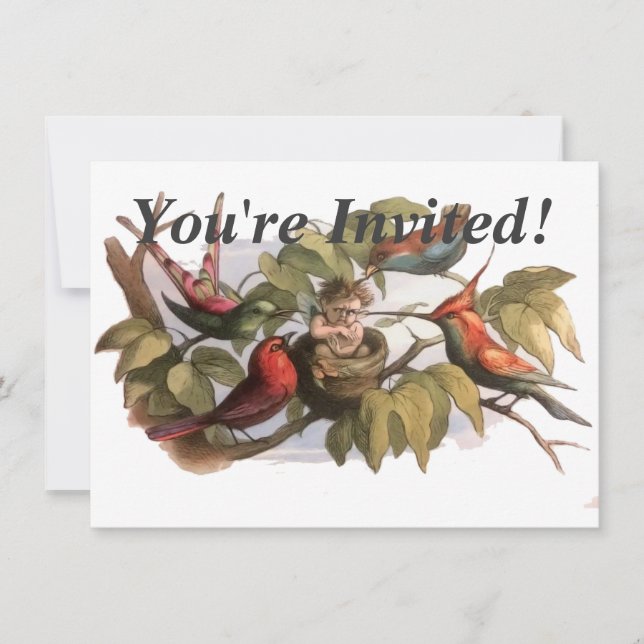 Woodland Elf in Nest: Antique Bird Sprite Fairy Invitation (Front)