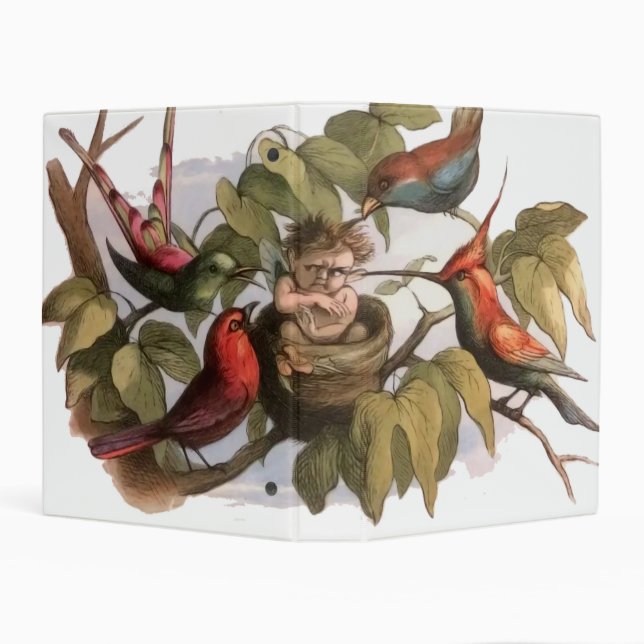 Woodland Elf in Nest: Antique Bird Sprite Fairy Mini Binder (Background)