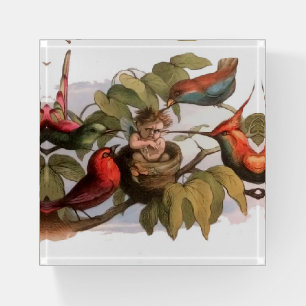 Woodland Elf in Nest: Antique Bird Sprite Fairy Paperweight