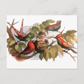 Woodland Elf in Nest: Antique Bird Sprite Fairy Postcard