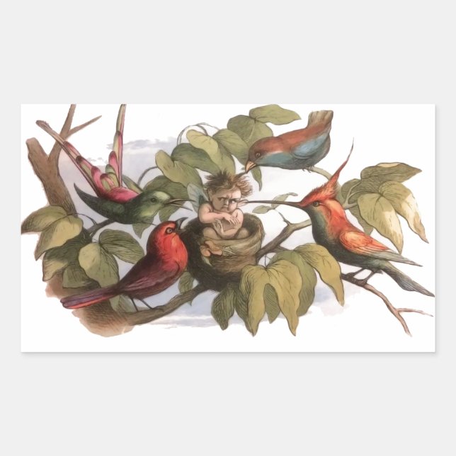 Woodland Elf in Nest: Antique Bird Sprite Fairy Rectangular Sticker (Front)