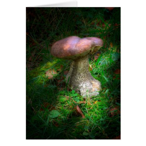 Woodland Fairy Mushroom blank notelet / card
