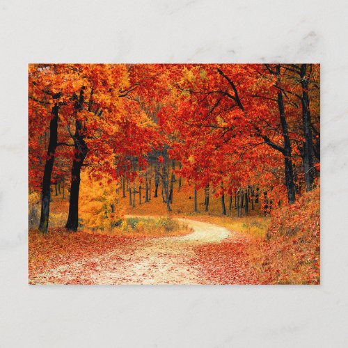 woodland fall trail postcard