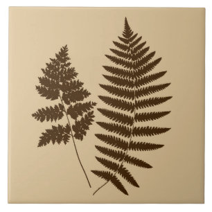 Woodland Fern, Beige and Dark Brown Ceramic Tile