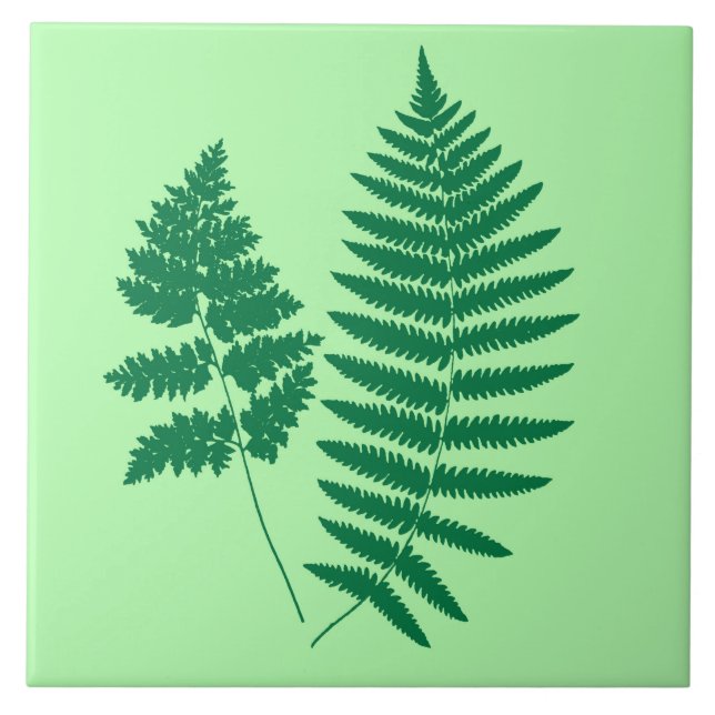 Woodland Fern, Emerald and Light Green  Ceramic Tile (Front)