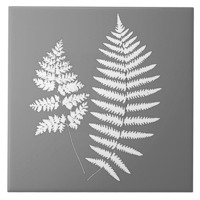 Woodland Fern, Gray / Grey and White   Ceramic Tile (Front)