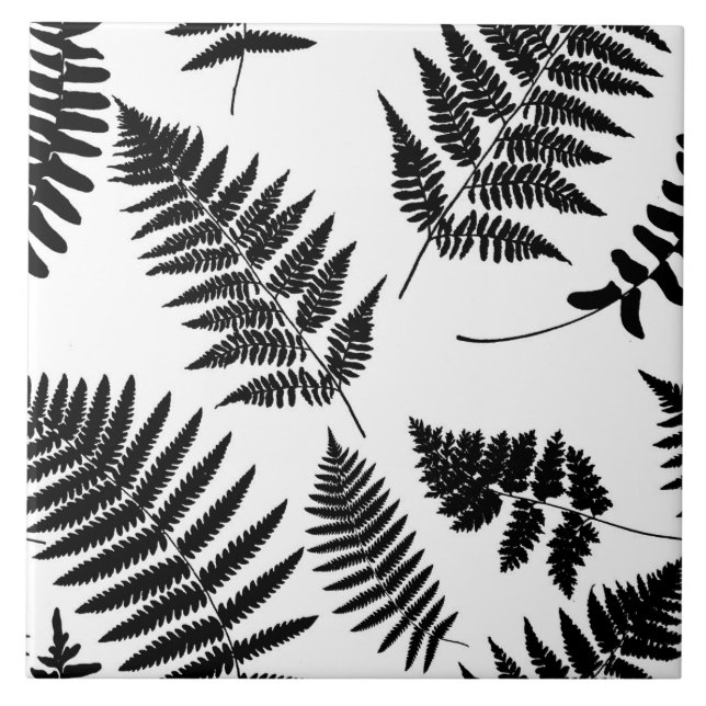 Woodland Fern Pattern, Black and White  Ceramic Tile (Front)