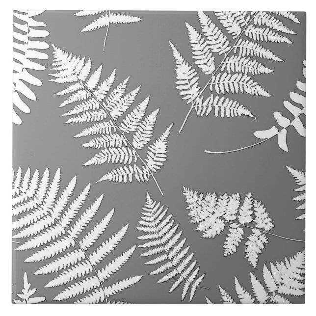 Woodland Fern Pattern, Gray / Grey and White   Ceramic Tile (Front)