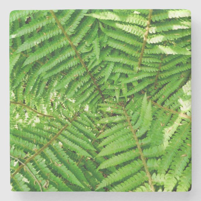 Woodland Ferns Stone Coaster (Front)