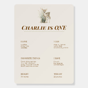 Woodland First Birthday Milestone Board