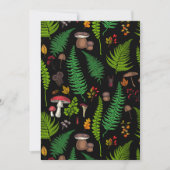 Woodland flora and fauna (Front)