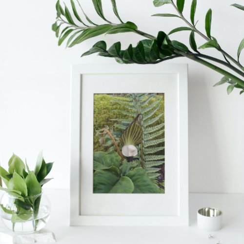 Woodland Flora Botanical Photo Print