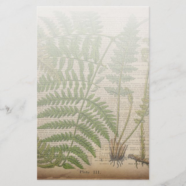 woodland foliage french botanical print fern stationery (Front)