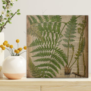 woodland foliage french botanical print fern tile