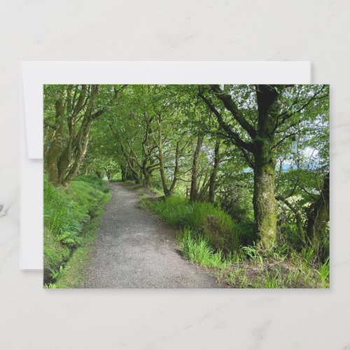 Woodland Footpath on Isle of Bute Scotland on a Holiday Card