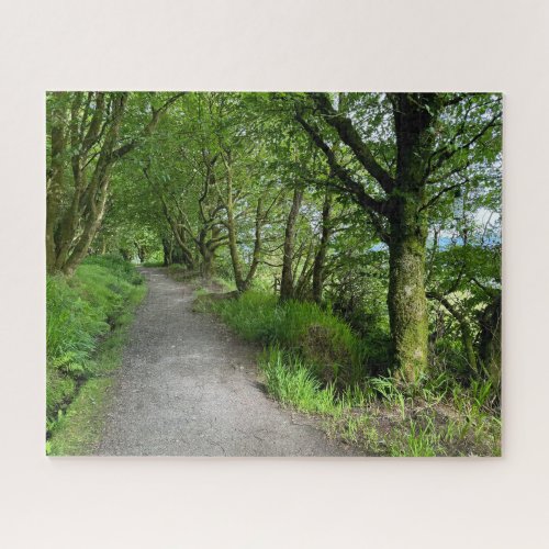 Woodland Footpath on Isle of Bute Scotland on a Jigsaw Puzzle