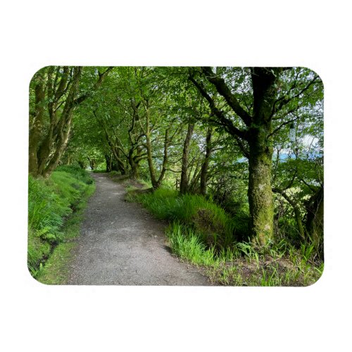 Woodland Footpath on Isle of Bute Scotland on a Magnet