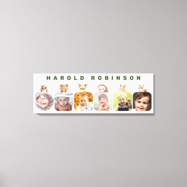 Woodland Forest Animals Baby Boy Milestone Canvas Print (Front)