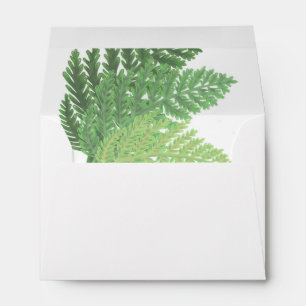 Woodland forest green ferns forest ferns envelope