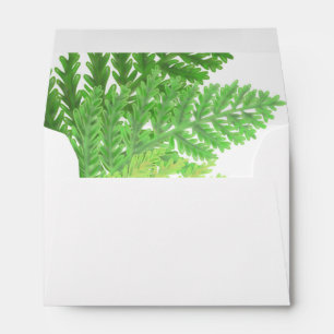 Woodland forest green ferns forest ferns envelope