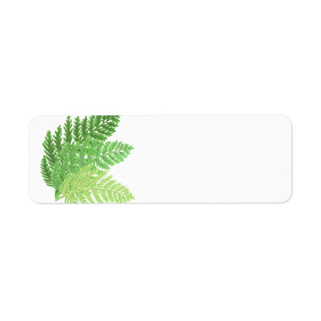 Woodland forest green ferns forest ferns label (Front)