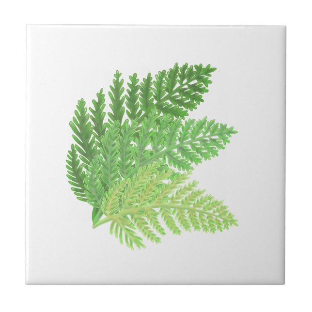 Woodland forest green ferns forest ferns tile (Front)