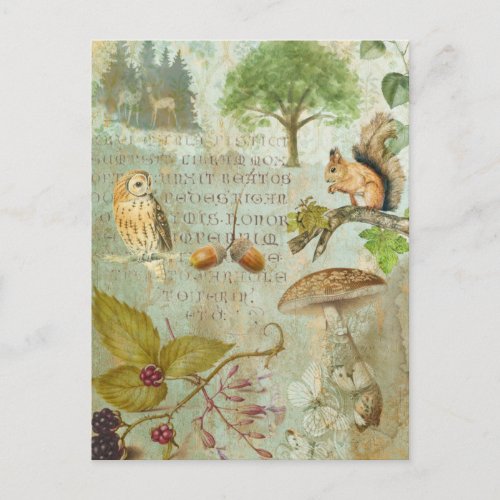 Woodland Forest Wildlife Squirrel Owl Autumnal J Postcard