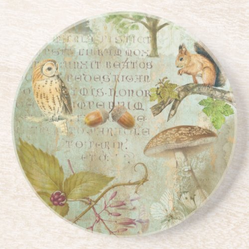 Woodland Forest Wildlife Squirrel Owl Autumnal S Coaster